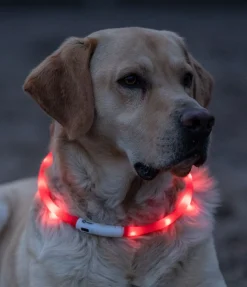 Collier lumineux-LED