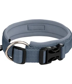 Collier pour chien Becks