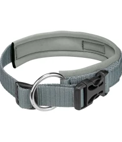 Collier pour chien Becks