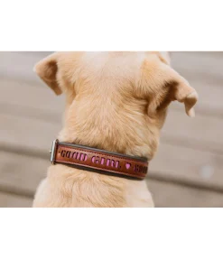 Collier pour chien en cuir Good Dog
