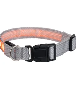 Collier pour chien LED Loom