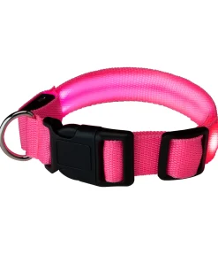 Collier pour chien LED Sugar Dog Loom