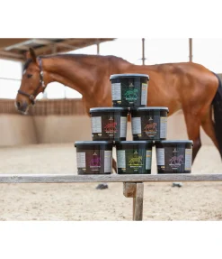 Complément minéral Premium