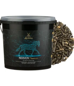 Complément premium Système nerveux