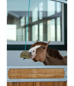 Corde de suspension pour balles de jeu