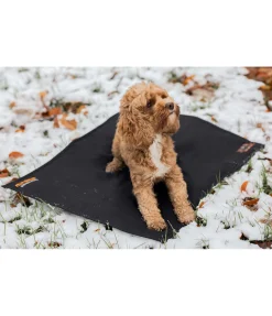 Coussin thermique pour chien Ceramic Rehab