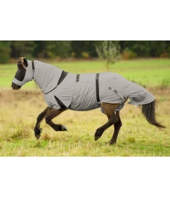 Couverture anti-eczéma pour chevaux islandais