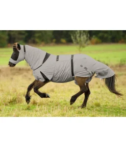 Couverture anti-eczéma pour chevaux islandais