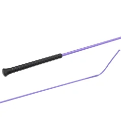 Cravache de dressage Ergo