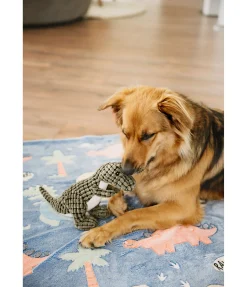 Dinosaure en peluche pour chien Rexy