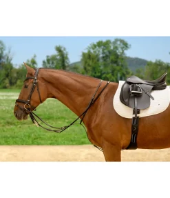 Enrênement Thiedemann