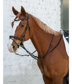 Enrênement Thiedemann