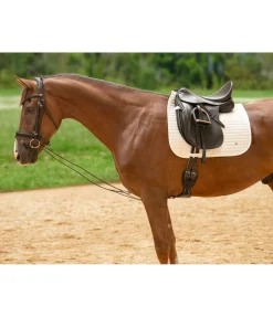 Enrênement long éducatif