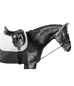 Enrênement long éducatif