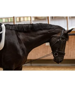 Enrênement long éducatif