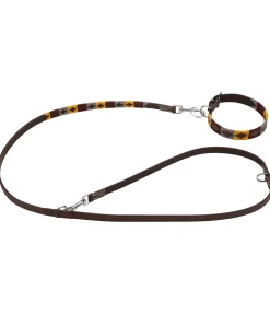 Ensemble collier et laisse en cuir pour chien Polo Sports
