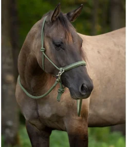 Ensemble licol à noeuds All-in-One