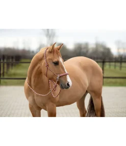 Ensemble licol à noeuds All-in-One