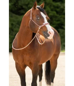 Ensemble licol à noeuds All-in-One