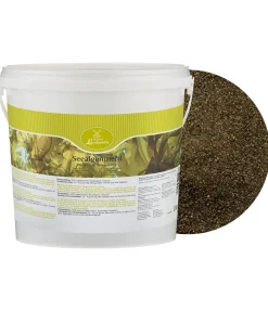 Farine d'algues marines