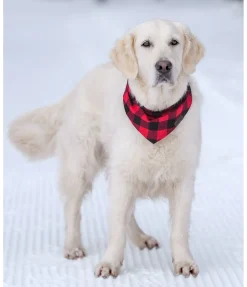 Foulard pour chien Henry