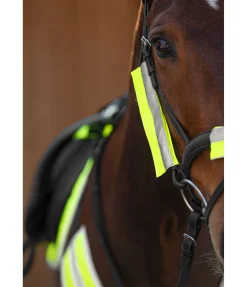 Fourreaux réfléchissants pour bridon