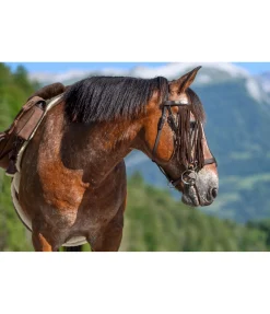 Franges anti-mouches en cuir velours Cles