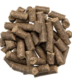 Friandises magiques système nerveux renforcé