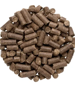 Friandises naturelles à la carotte