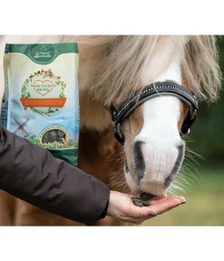 Friandises naturelles à la carotte