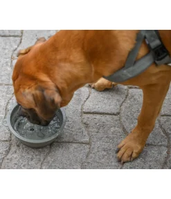 Gamelle pliable pour chien Classic Line