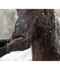 Gants d'équitation d'été Omeo