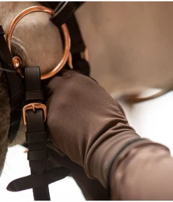 Gants d'équitation toutes saisons