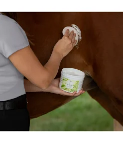 Gel anti-insectes à l'huile de neem