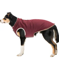 Gilet softshell réversible pour chien Willa, 80 g