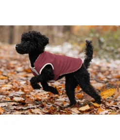Gilet softshell réversible pour chien Willa, 80 g