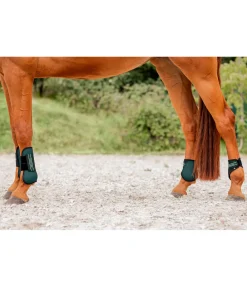 Guêtres à coque rigide