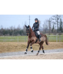 Guêtres de dressage avec polaire Teddy Classic (pour postérieurs)