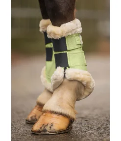 Guêtres de dressage en polaire Teddy Essential (antérieurs)