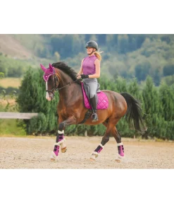Guêtres de dressage en polaire Teddy Essential (postérieurs)