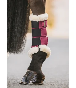 Guêtres de dressage en polaire Teddy Essential (postérieurs)