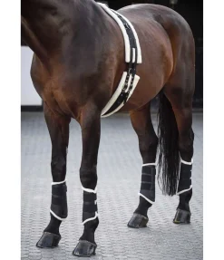 Guêtres de dressage postérieures en polaire Teddy