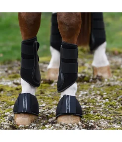 Guêtres d'entraînement , antérieurs