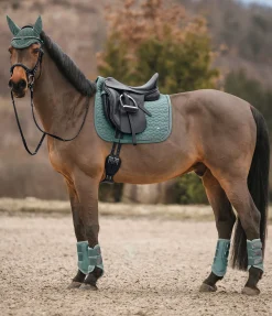 Guêtres en mesh Glitter, antérieurs