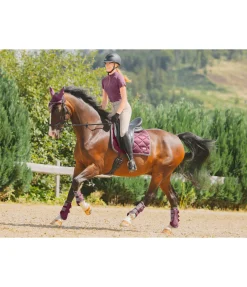 Guêtres techniques Swiss Design (Antérieurs)