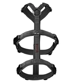 Harnais de sécurité pour chien Irmi