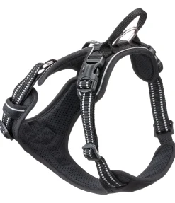 Harnais pour chien Expedition