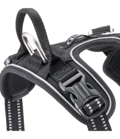 Harnais pour chien Expedition