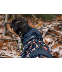 Imperméable pour chien Pumpkin Spice, 0 g