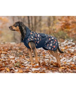 Imperméable pour chien Pumpkin Spice, 0 g
